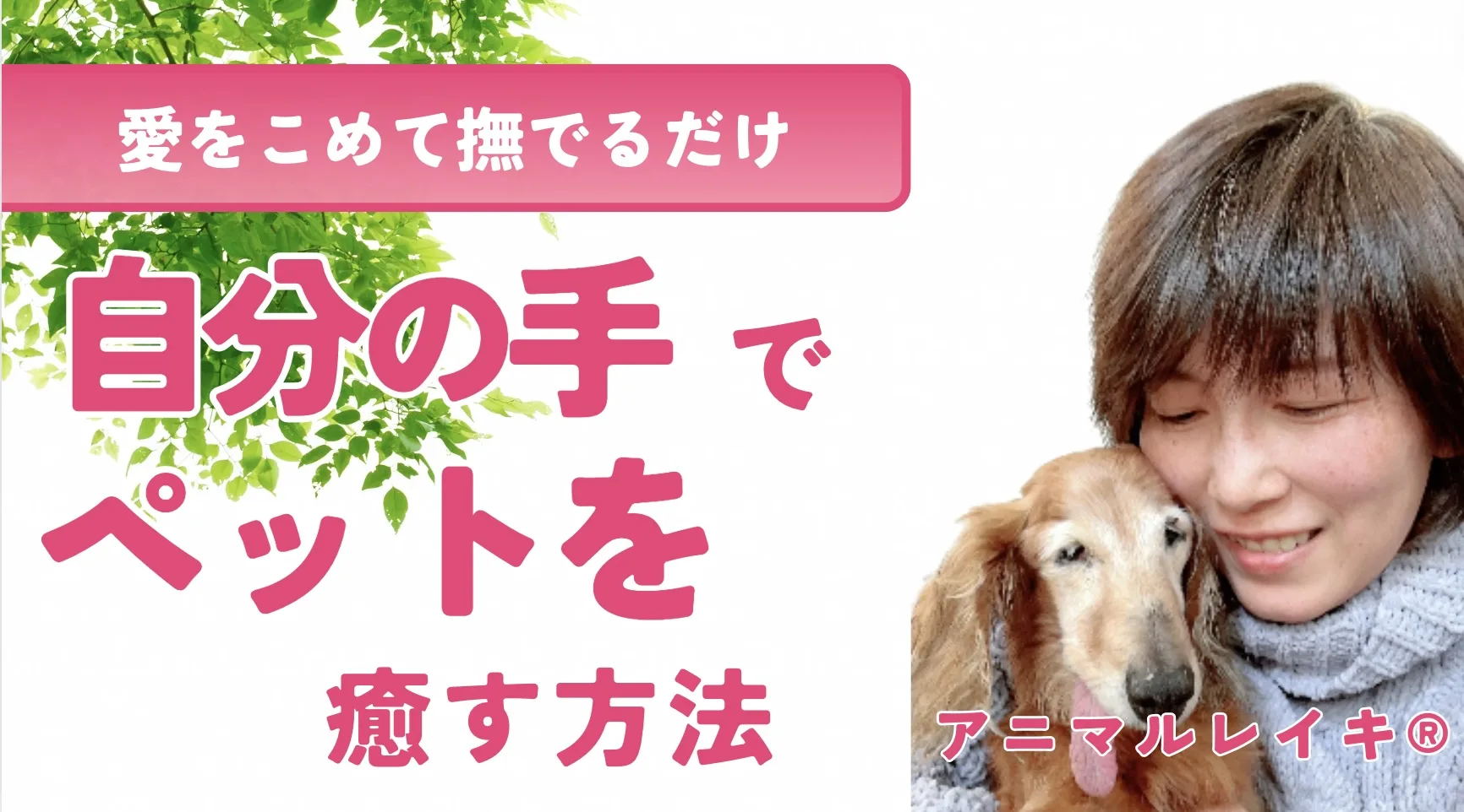 【アニマルレイキがあれば変わる！】腎不全とお腹の不調を抱える愛猫のためにできることは？