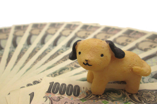 ペット信託の仕組み解説!飼い主のもしもの時にペットを安心して託す方法 獣医師監修3