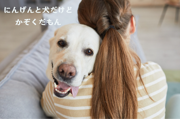 ペット信託の仕組み解説!飼い主のもしもの時にペットを安心して託す方法 獣医師監修6