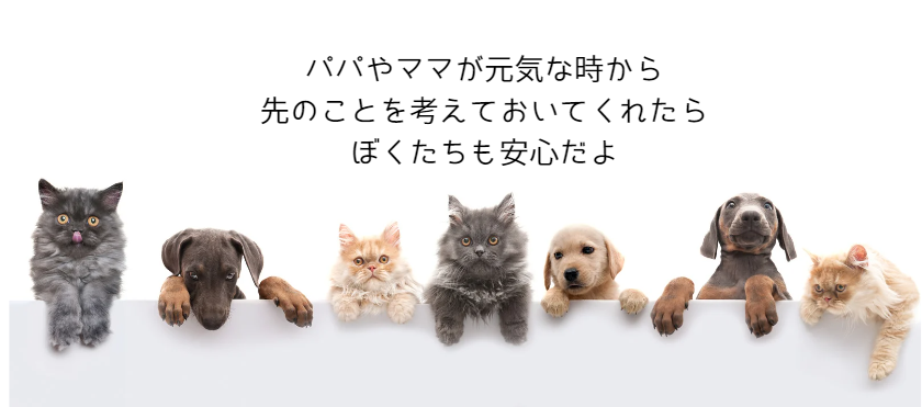 ペット信託の仕組み解説!飼い主のもしもの時にペットを安心して託す方法 獣医師監修2