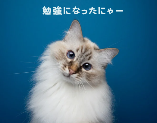 もし愛猫が猫伝染性腹膜炎になったら?原因・症状・飼い主さんができること【獣医師監修】13